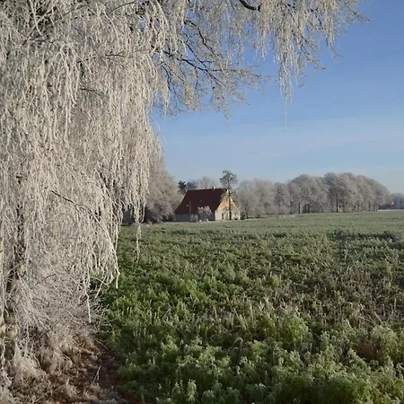 Apartment Zum Heuerling Ferienwohung Im Alten Stall Mit Sauna