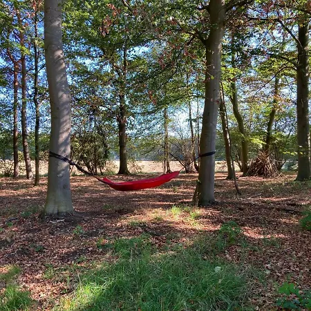 Apartment Zum Heuerling Ferienwohung Im Alten Stall Mit Sauna
