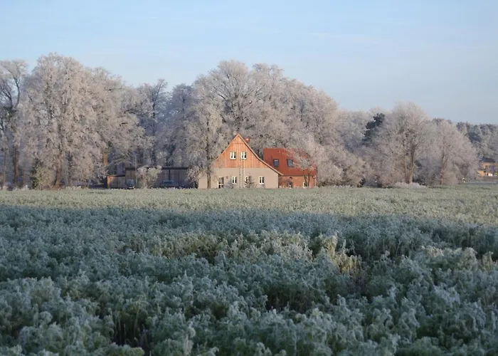 Zum Heuerling Ferienwohung Im Alten Stall Mit Sauna Lejlighed